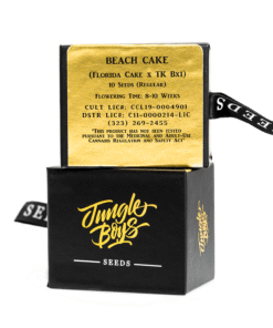 Jungle Boys | Beach Cake – 10ct Seeds Kaufen Online