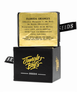 Jungle Boys | Florida Oranges – 10ct Seeds Kaufen Online