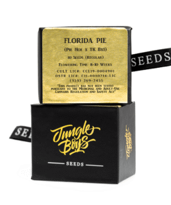 Jungle Boys | Florida Pie – 10ct Seeds Kaufen Online