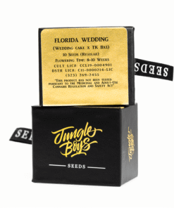 Jungle Boys | Florida Wedding – 10ct Seeds Kaufen Online