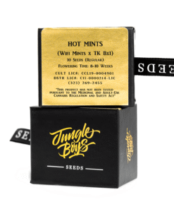 Jungle Boys | Hot Mints – 10ct Seeds