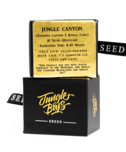 Jungle Boys | Jungle Canyon – 10ct Seeds Kaufen Online