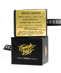 Jungle Boys | Jungle Grapes – 10ct Seeds Kaufen Online