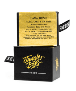 Jungle Boys | Lava Kush – 10ct Seeds Kaufen Online