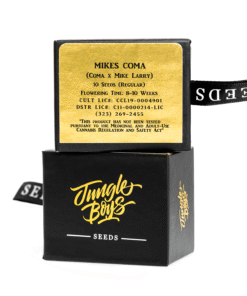 Jungle Boys | Mikes Coma – 10ct Seeds Kaufen Online