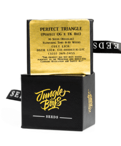 Jungle Boys | Perfect Triangle – 10ct Seeds Kaufen Online