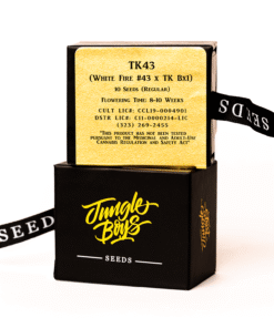 Jungle Boys | TK 43 – 10ct Seeds Kaufen Online