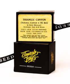 Jungle Boys | Triangle Canyon – 10ct Seeds